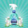 ASTONISH BATHROOM CLEANER 750ML