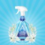 ASTONISH DAILY SHOWER CLEANER 750ML