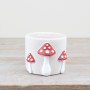 PL : White Planter Mushroom Design 12cm