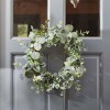 SG: Eucalyptus Whirl Wreath - Verde 40cm