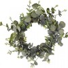 SG: Eucalyptus Whirl Wreath - Verde 40cm