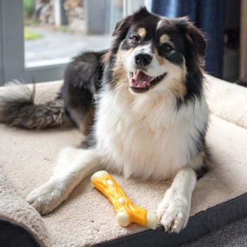 SG: CHICKEN FLAVOUR NYLON TUFFSTICK 12CM