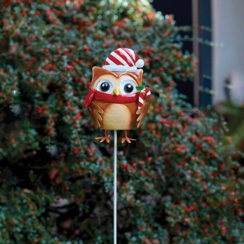 SG XMAS : HOOTIECUTIE STAKES