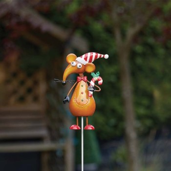 SG XMAS : CANDYRAT STAKES