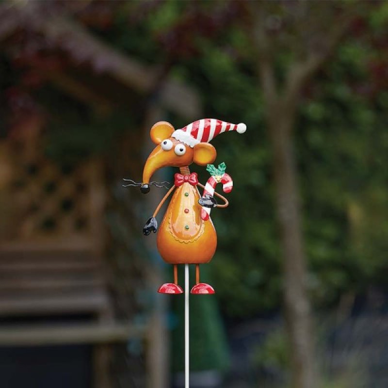 SG XMAS : CANDYRAT STAKES