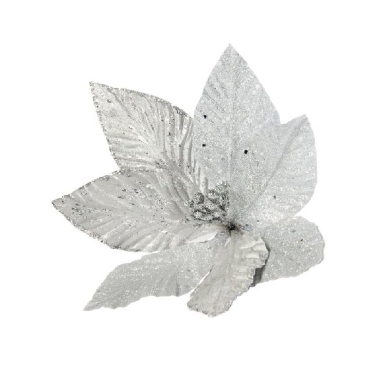 SG XMAS : SENSATIONAL SILVERS CLIP