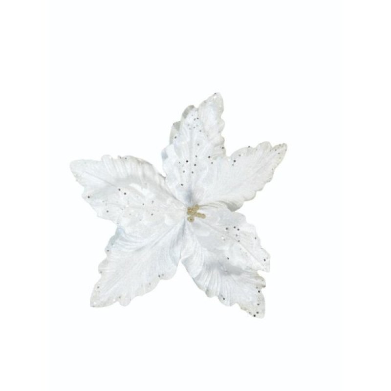 SG XMAS : WINTER WHITES STEM