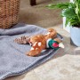 Dog Toy - Pheasant / Faisan