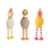 Dog Toy - Latex Squawker - Assorted Designs