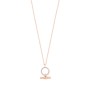 Tipperary Crystal : Circle & Bar Pendant in Rose Gold