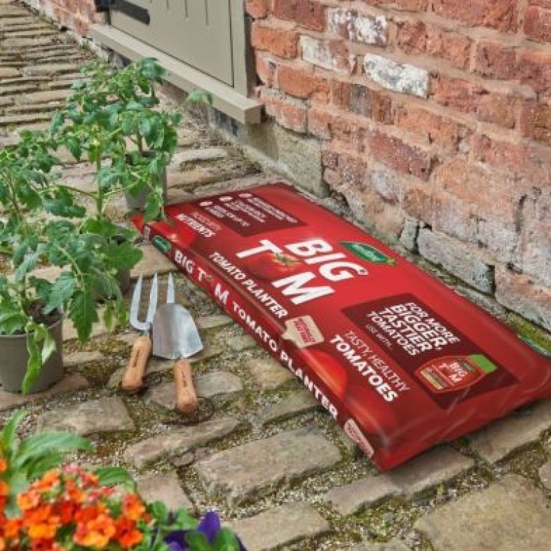Westland Big Tom Peat Free Tomato Grow Bag 55L