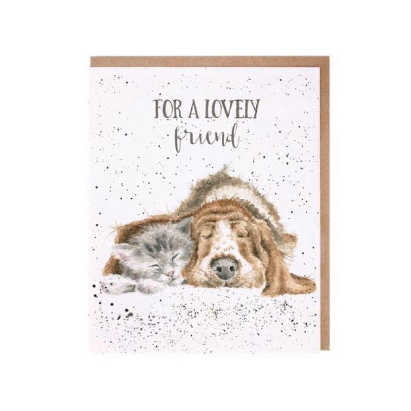 Wrendale Greeting Card Dog and Catnap