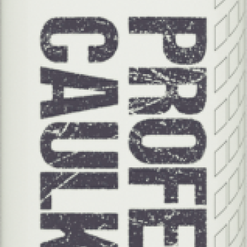 EVOSTIK PRO CAULK MAGNOLIA 380ML