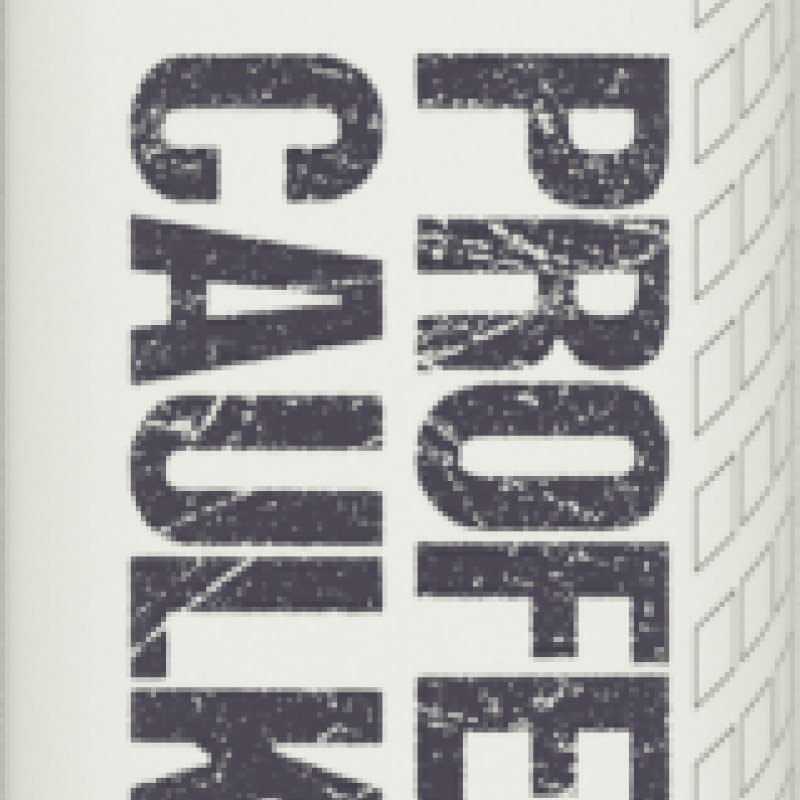 EVOSTIK PRO CAULK MAGNOLIA 380ML