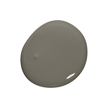 Colourtrend Paint - Burrowing