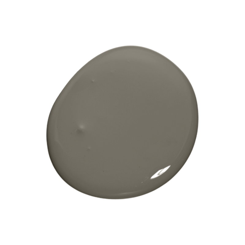 Colourtrend Paint - Burrowing