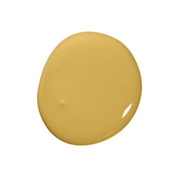 Colourtrend Paint - French Mustard