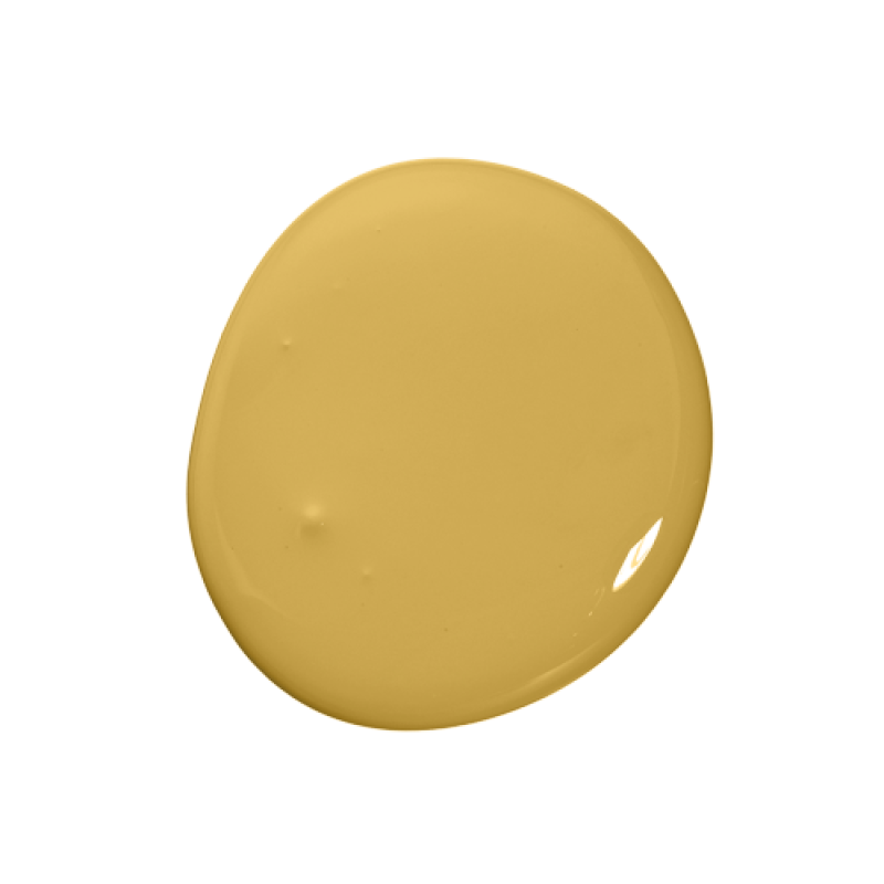 Colourtrend Paint - French Mustard