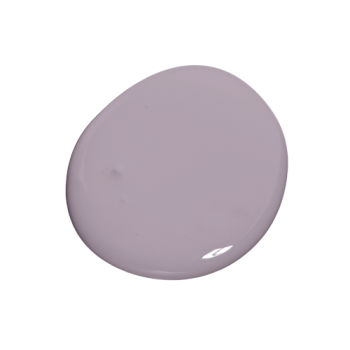 Colourtrend Paint - Iris Bloom