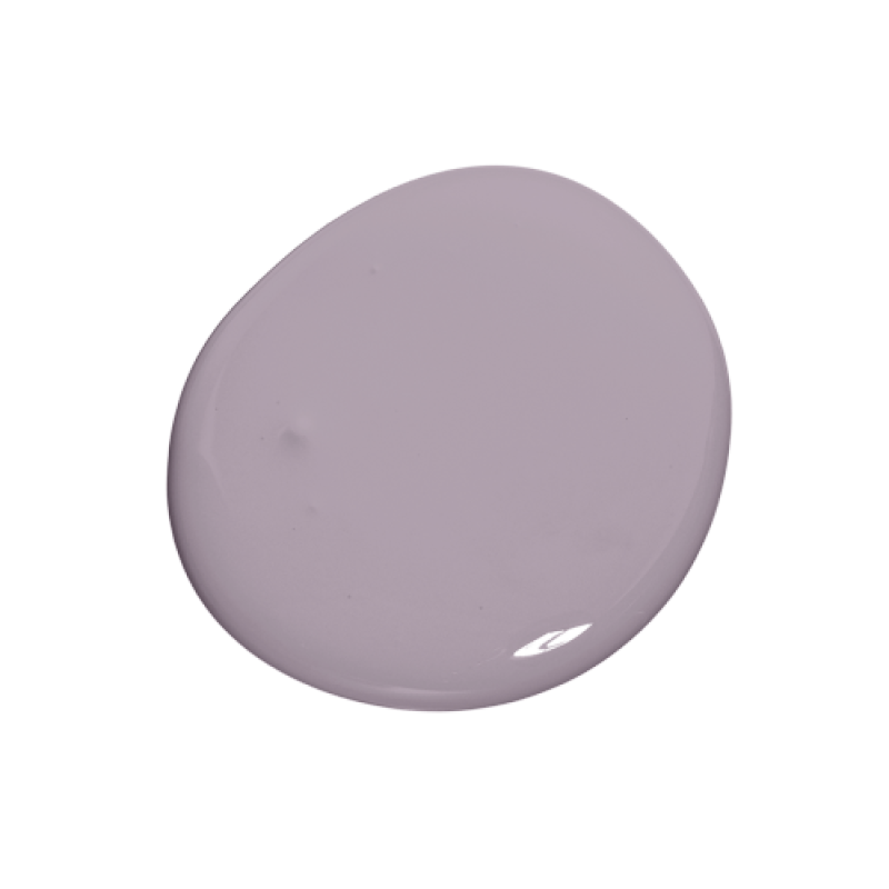 Colourtrend Paint - Iris Bloom