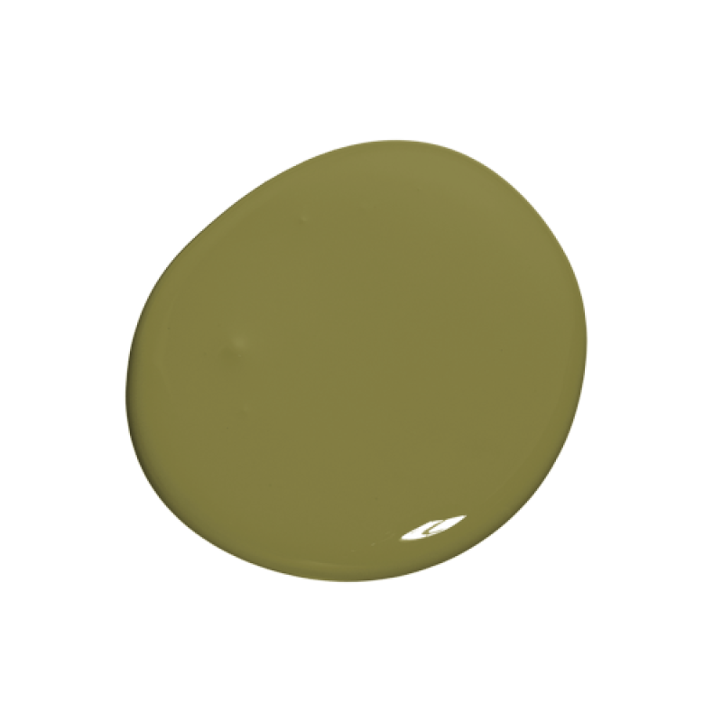 Colourtrend Paint - Leafy Green