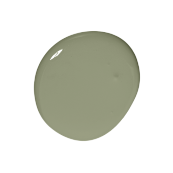 Colourtrend Paint - Nettle Soup