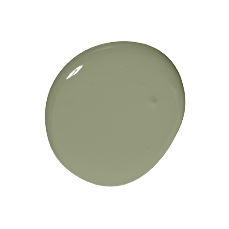 Colourtrend Paint - Nettle Soup