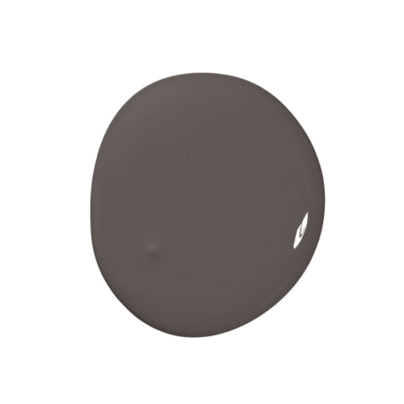 Colourtrend Paint - Pine Marten