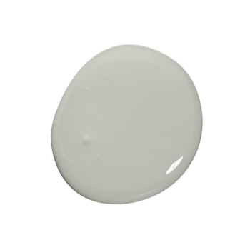 Colourtrend Paint - Silk Seal