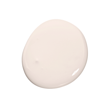 Colourtrend Paint - Stuccowork