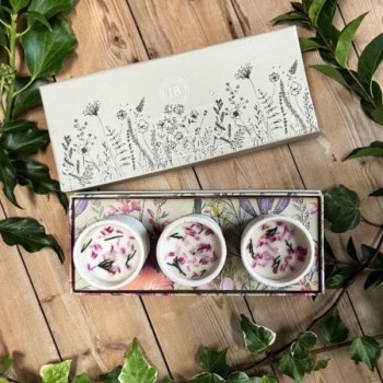 IB : ELDERBERRY AND SPOTTED NETTLE TRIO SET