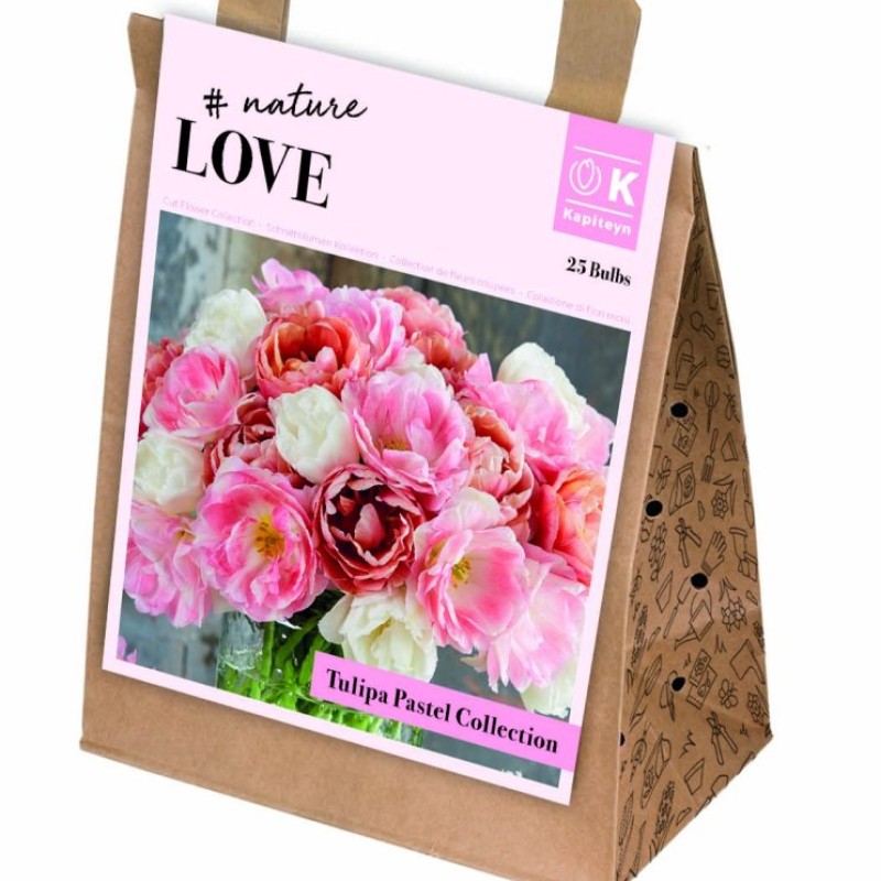 KB : TULIPA BOUQUET DOUBLE PASTEL 25PK