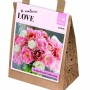 KB : TULIPA BOUQUET DOUBLE PASTEL 25PK