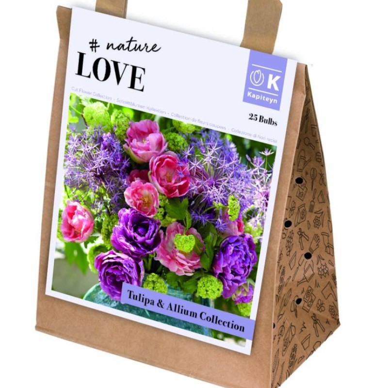 BOUQUET TULIPA & ALLIUM  COLLECTION