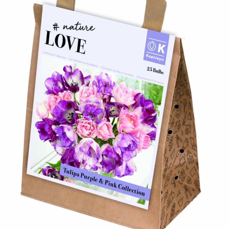 KB : TULIPA BOUQUET PURPLE & PINK 25PK