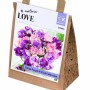 KB : TULIPA BOUQUET PURPLE & PINK 25PK