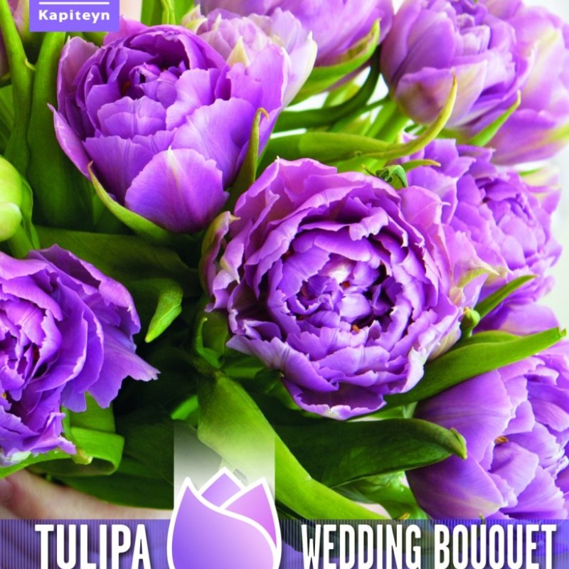 TULIP DOUBLE WEDDING BOUQUET - Something Blue….