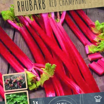 RHUBARB RED CHAMPAGNE