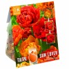 TULIP DOUBLE SUNLOVER - Chameleon Tulip