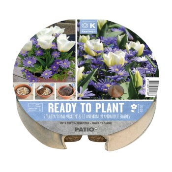 PLANT-O-MAT TRAY Ø 24 CM TULIPA & ANEMONE