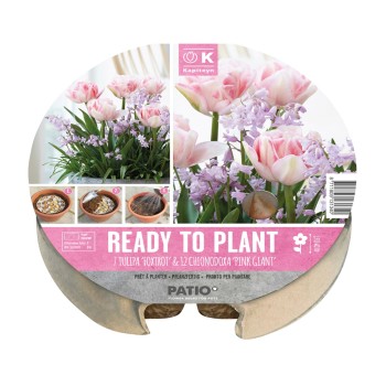 PLANT-O-MAT TRAY Ø 24 CM TULIPA & CHIONODOXA