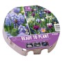 PLANT-O-MAT TRAY XL Ø 38cm BIO DIVERSITY