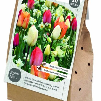 RESPECT NATURE  - SUNSHINE