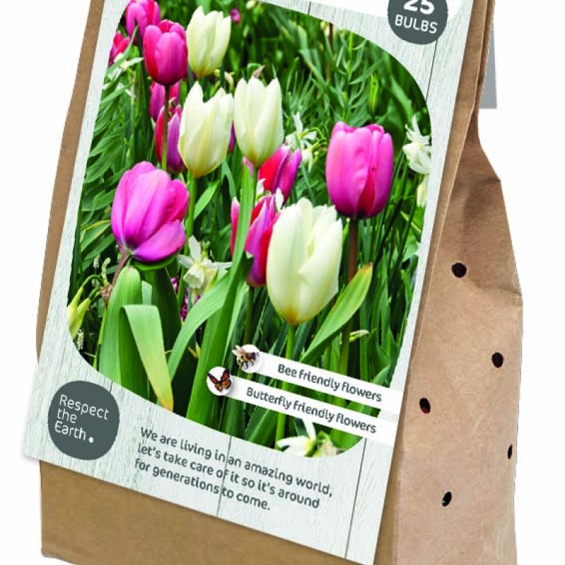 RESPECT  NATURE - ROMANCE