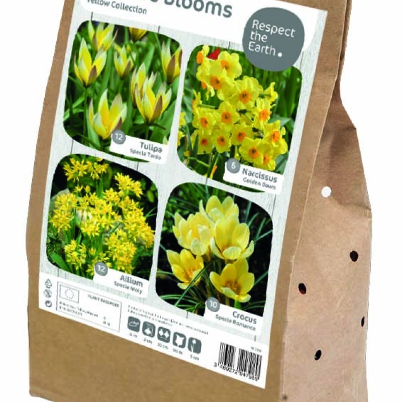 WILDLIFE YELLOW COLLECTION