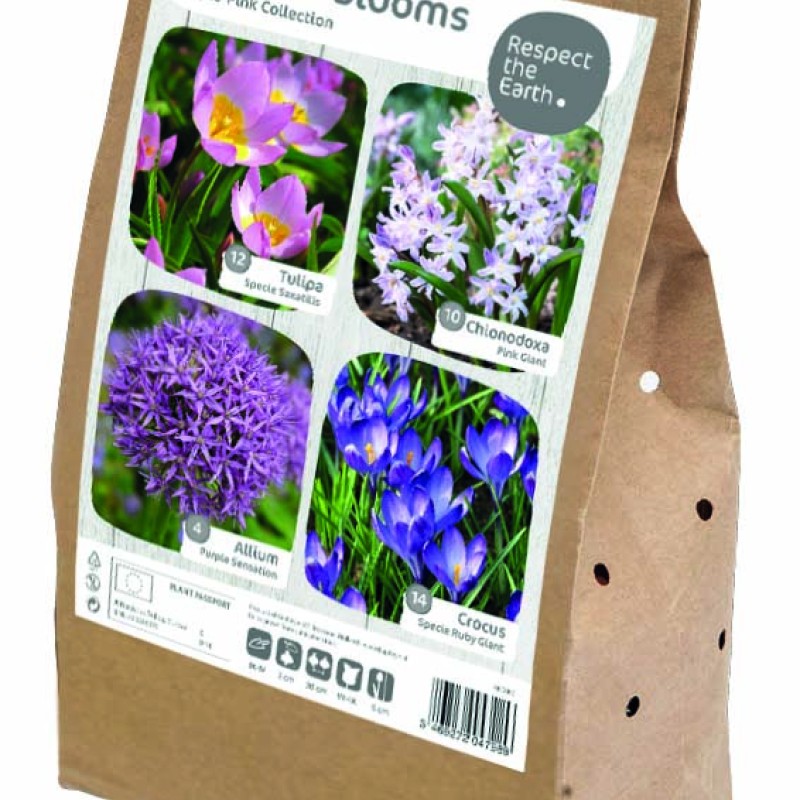 WILDLIFE PURPLE-PINK COLLECTION