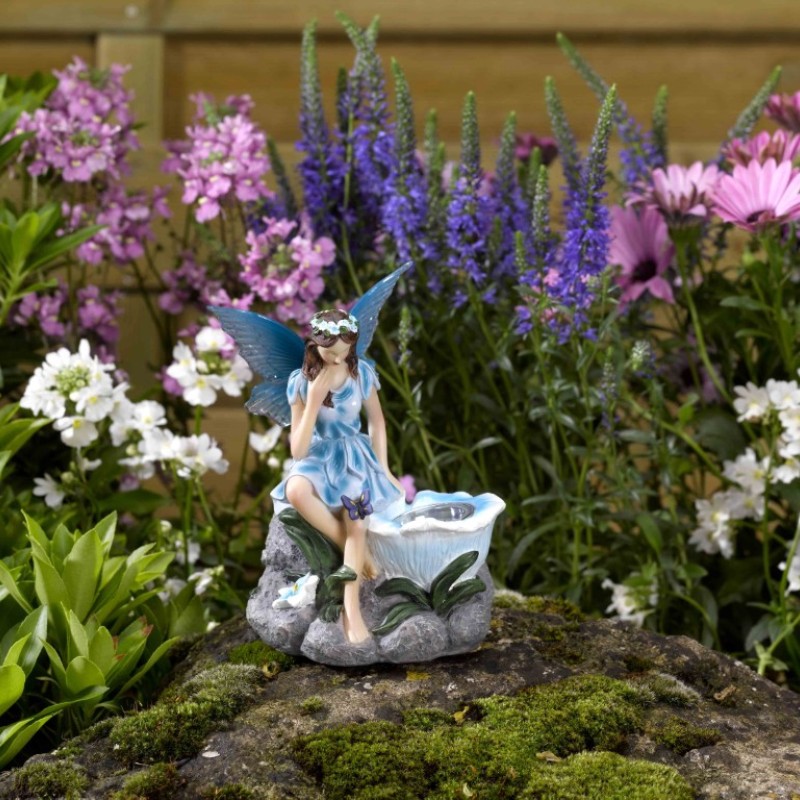 FAIRIES (MIXED DISPLAY)