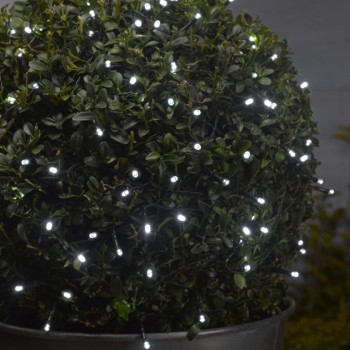 SG: 100 COOL WHITE LEDS STRING LIGHTS