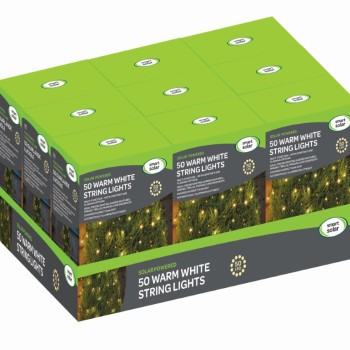 SG: 100 WARM WHITE LEDS STRING LIGHTS