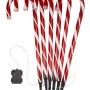 SG XMAS : CANDYCANE STAKES 6PC
